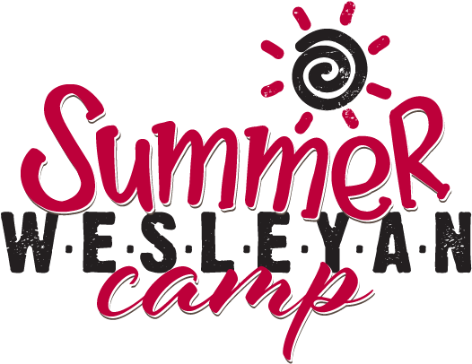 Vector Graphics (550x425)