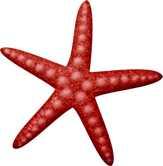 Ladylony Альбом «скрап-наборы / Beach Boys» На Яндекс - Estrella De Mar Clipart Png (521x532)