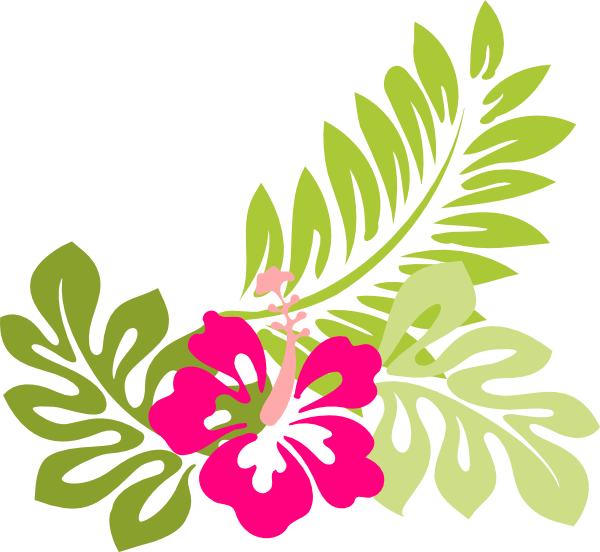 Hibiscus Clip Art - Hawaiian Flower Png (600x552)