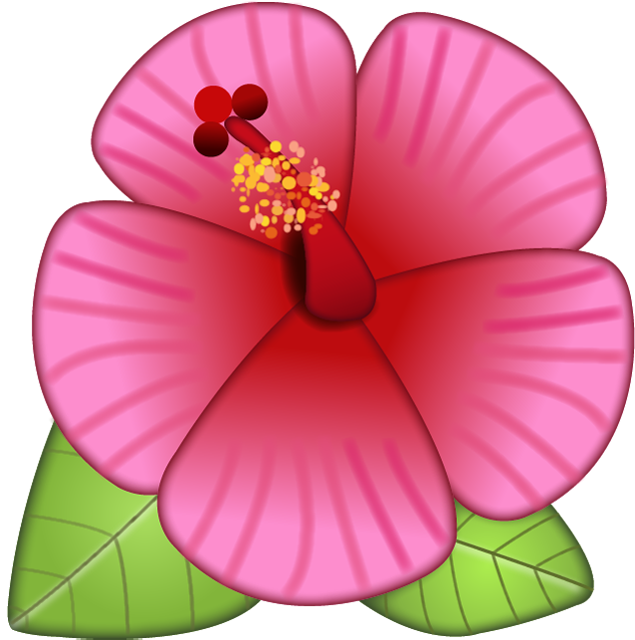 Download Hibiscus Flower Emoji Png - Transparent Background Flower Emoji (1024x1024)