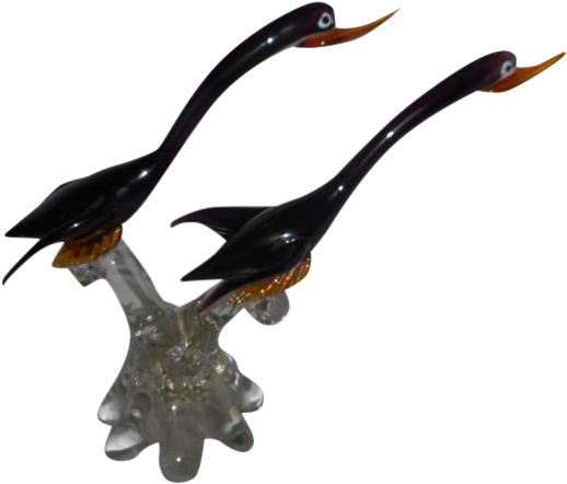 Glass - Ibis (574x490)