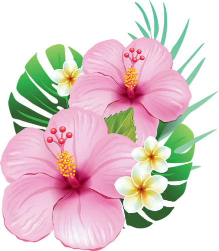 0 Cc5cd B0f8b8a2 L - Moana Flowers Png (437x500)