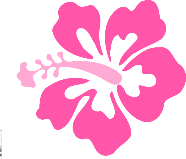 Coral Hibiscus Clip Art - Hibiscus Clip Art (600x513)