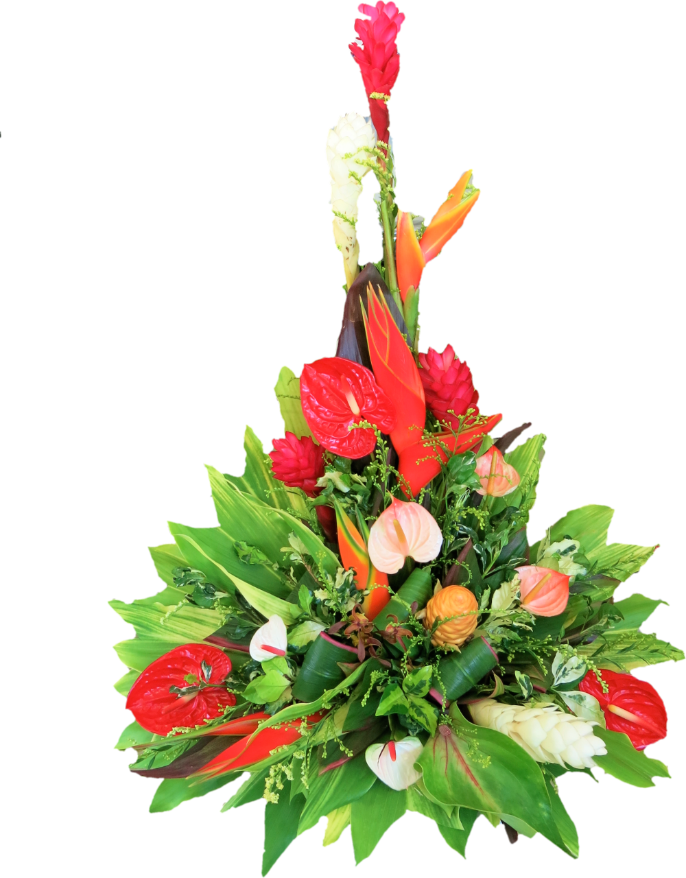 Local Paradise - Rose (1000x1280)