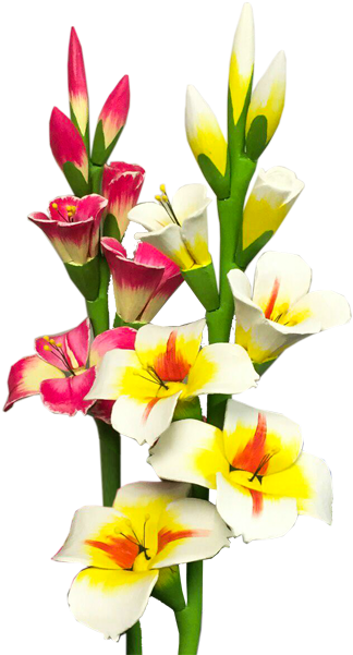 Wooden Gladiolus Flower05 - Gladiolus Png (600x600)