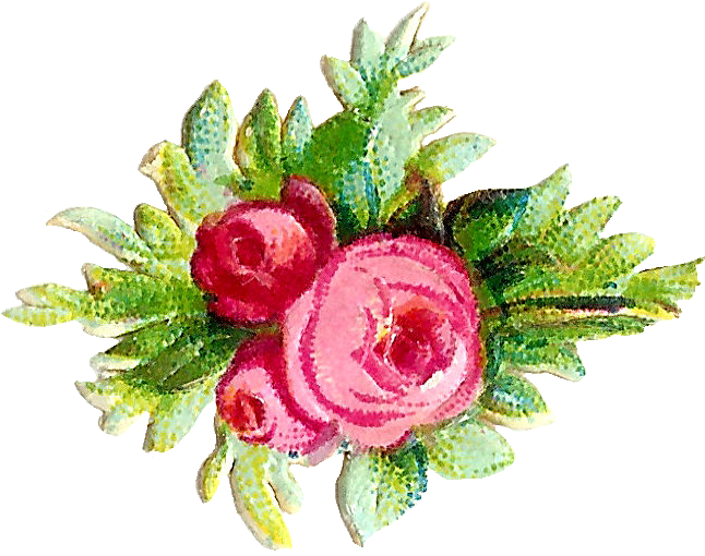 Vintage Flower Clipart Tiny Flower - Rustic Flowers Png (742x629)