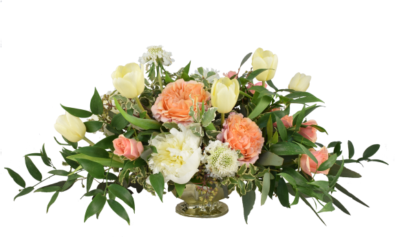 Quick View - Flower (582x633)