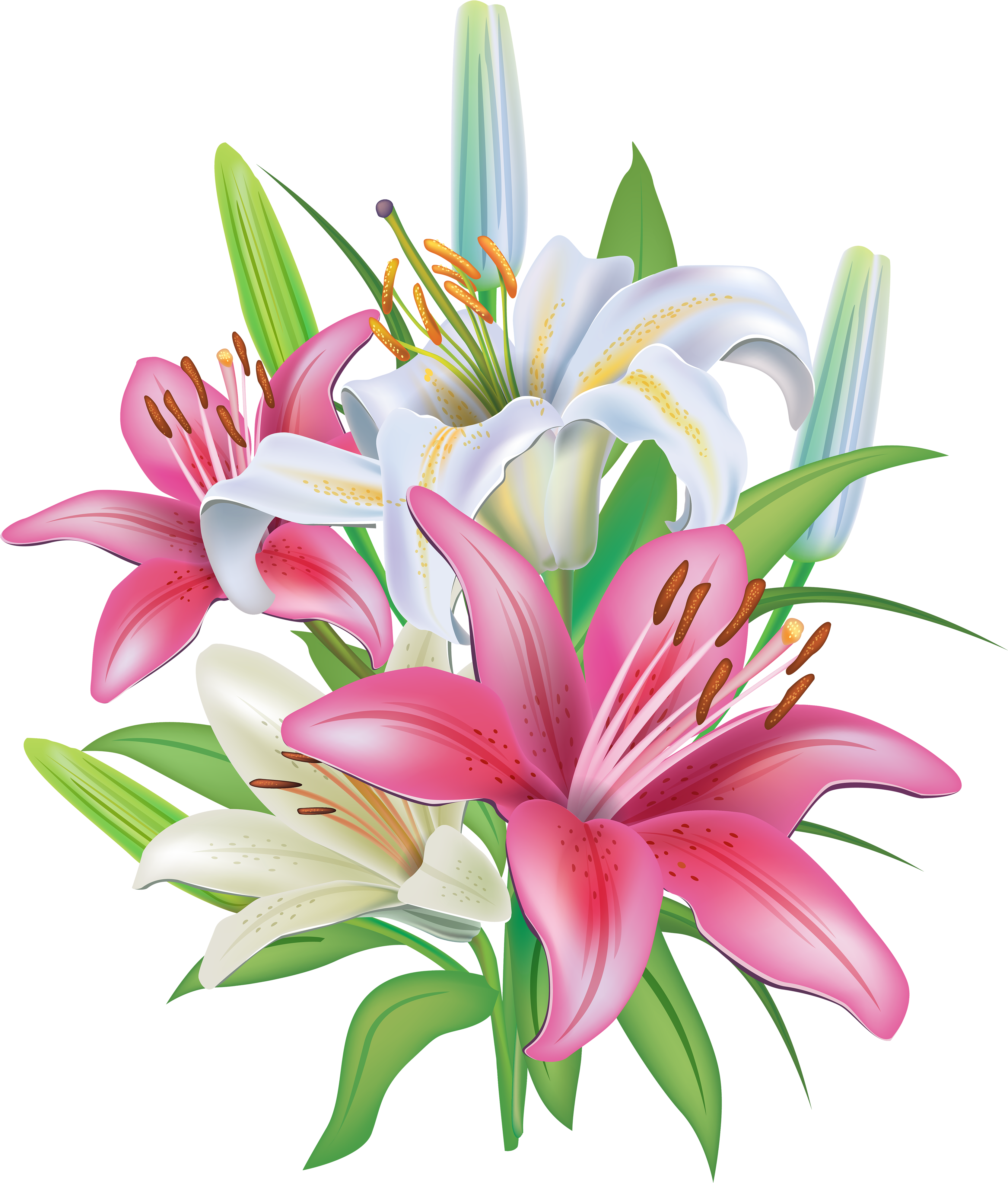 Lilies Flowers Decoration Png Clipart Image - Flower Clip Art Png (3408x4000)