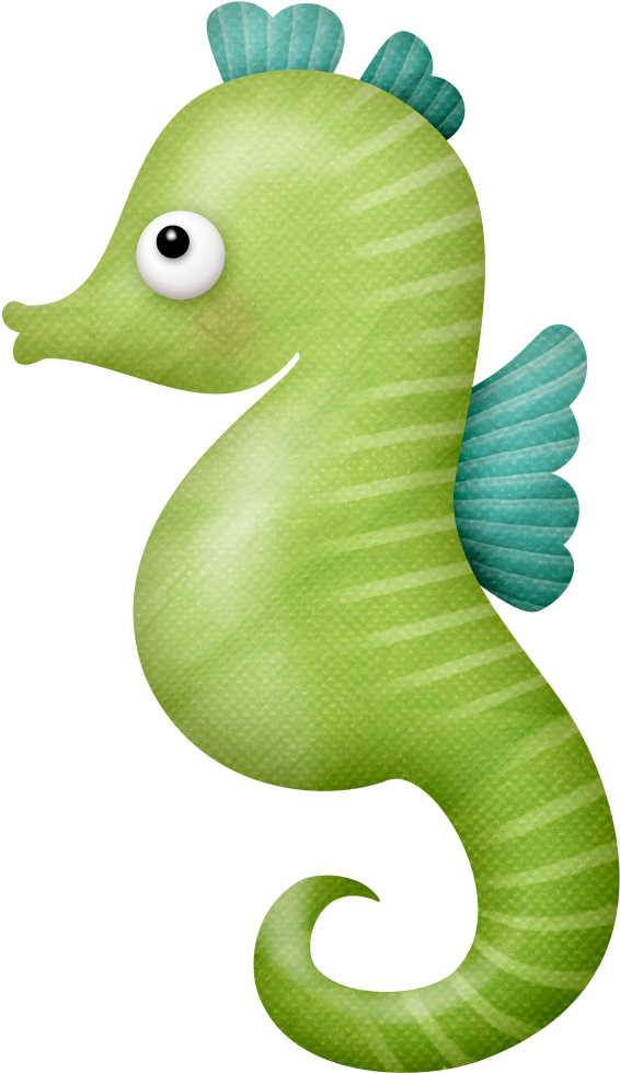Photo By @luh-happy - Northern Seahorse (676x1133)