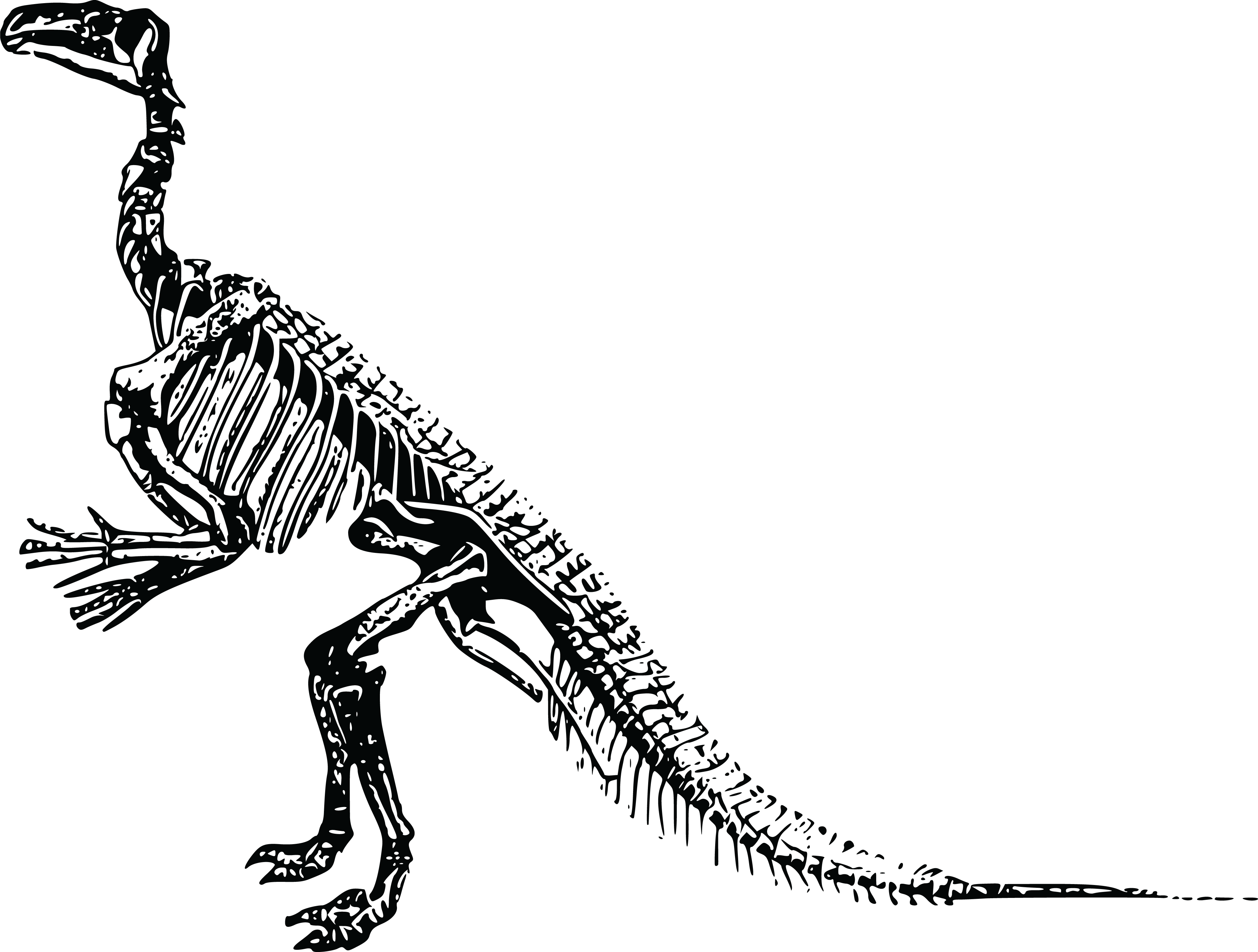Free Clipart Of A Dinosaur Skeleton - Clipart Dinosaur Skeleton (4000x3027)