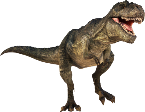 T-rex Dinosaurs History - Dinosaur T Rex Png (500x386)