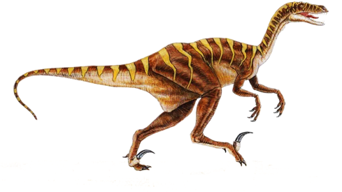 Explore Dinosaur Types, Dinosaur Dinosaur, And More - Get Stuff Done Funny (500x333)