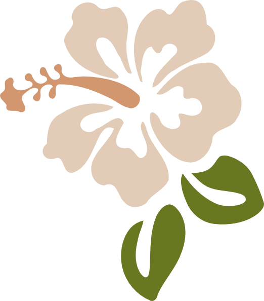 Hibiscus Clip Art - Hibiscus Clip Art (522x594)