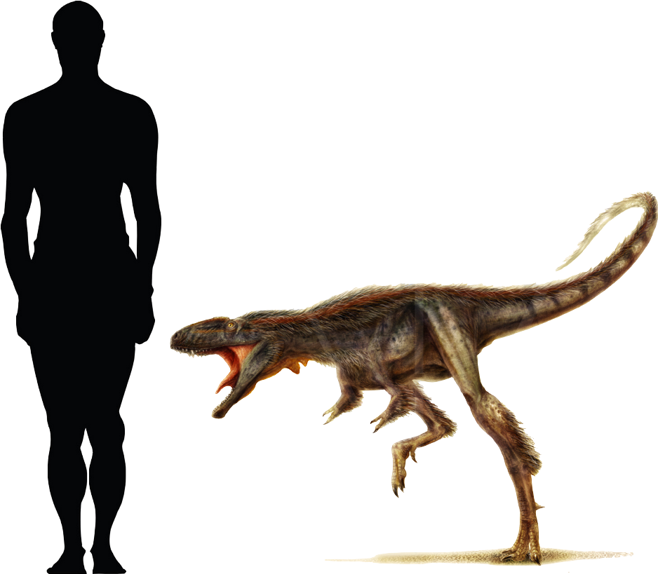 Prehistoric - Hyena Size Comparison To Dog (1079x877)