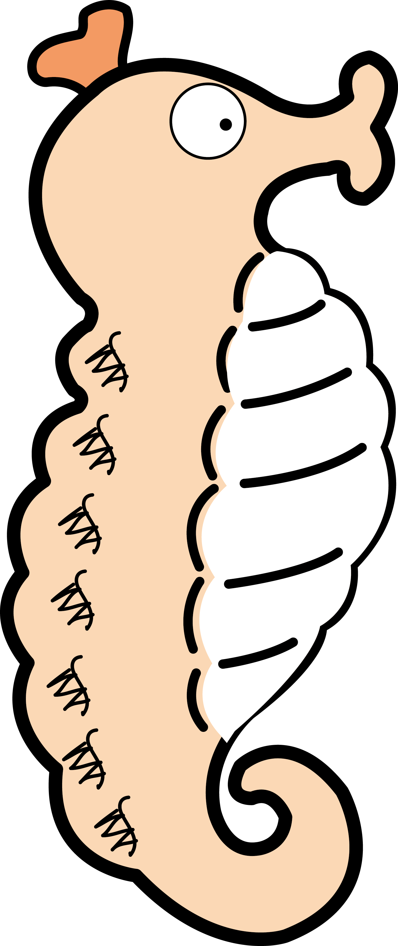 Chimelong Ocean Kingdom Dinosaur Clip Art - Chimelong Ocean Kingdom Dinosaur Clip Art (1506x3574)