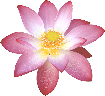 Buddhist Center Sgi Usa South Orange County Nam Myoho - Sacred Lotus (400x367)