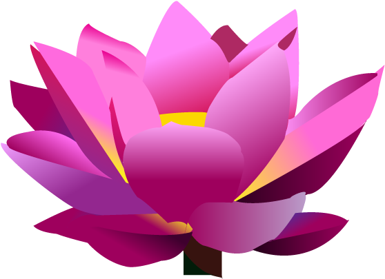 Lotus Flower Graphic - Lotus Flower Graphic Png (640x480)