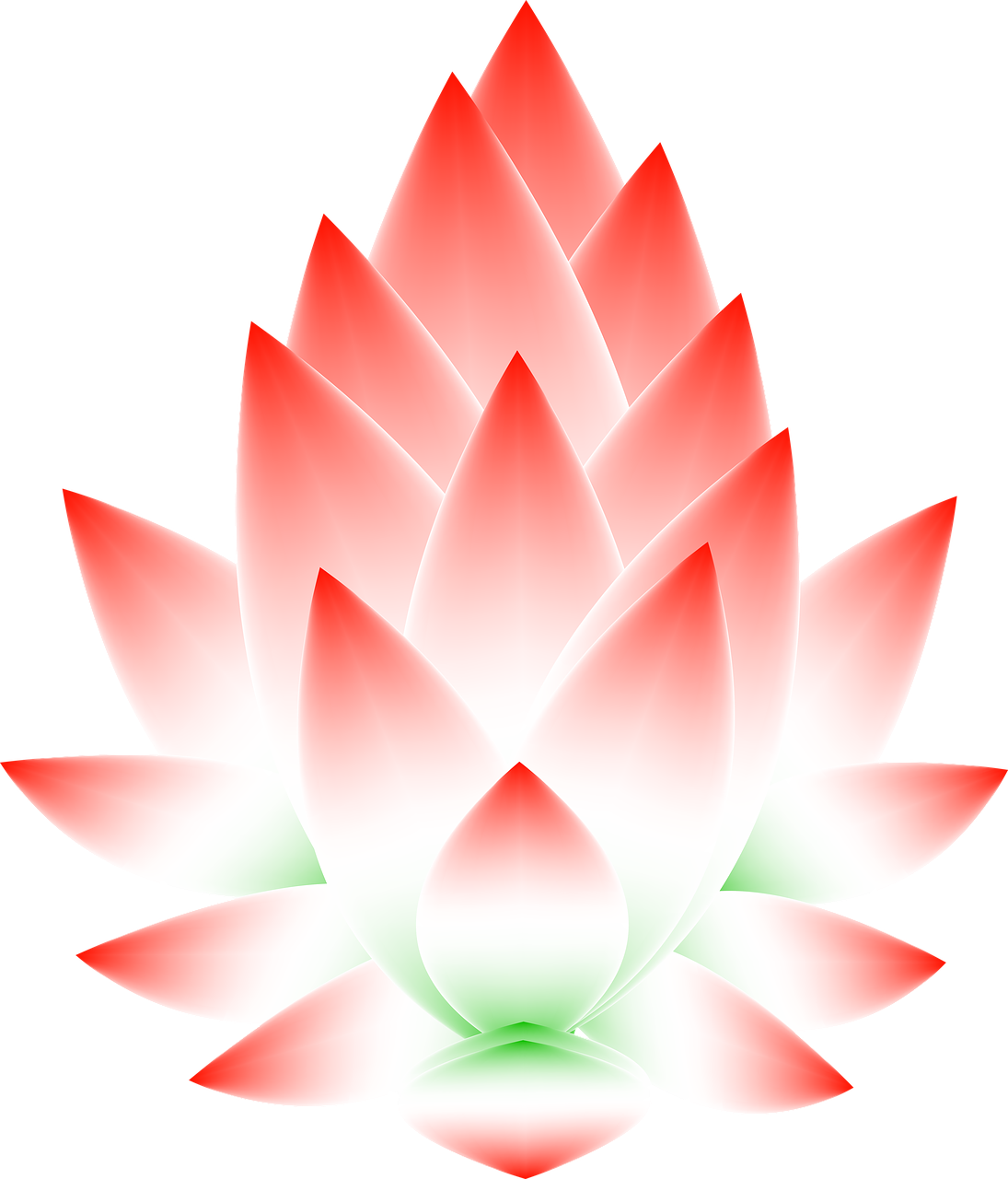 Lotus Flower Blossom Abstract Png Image - Sacred Lotus (1095x1280)