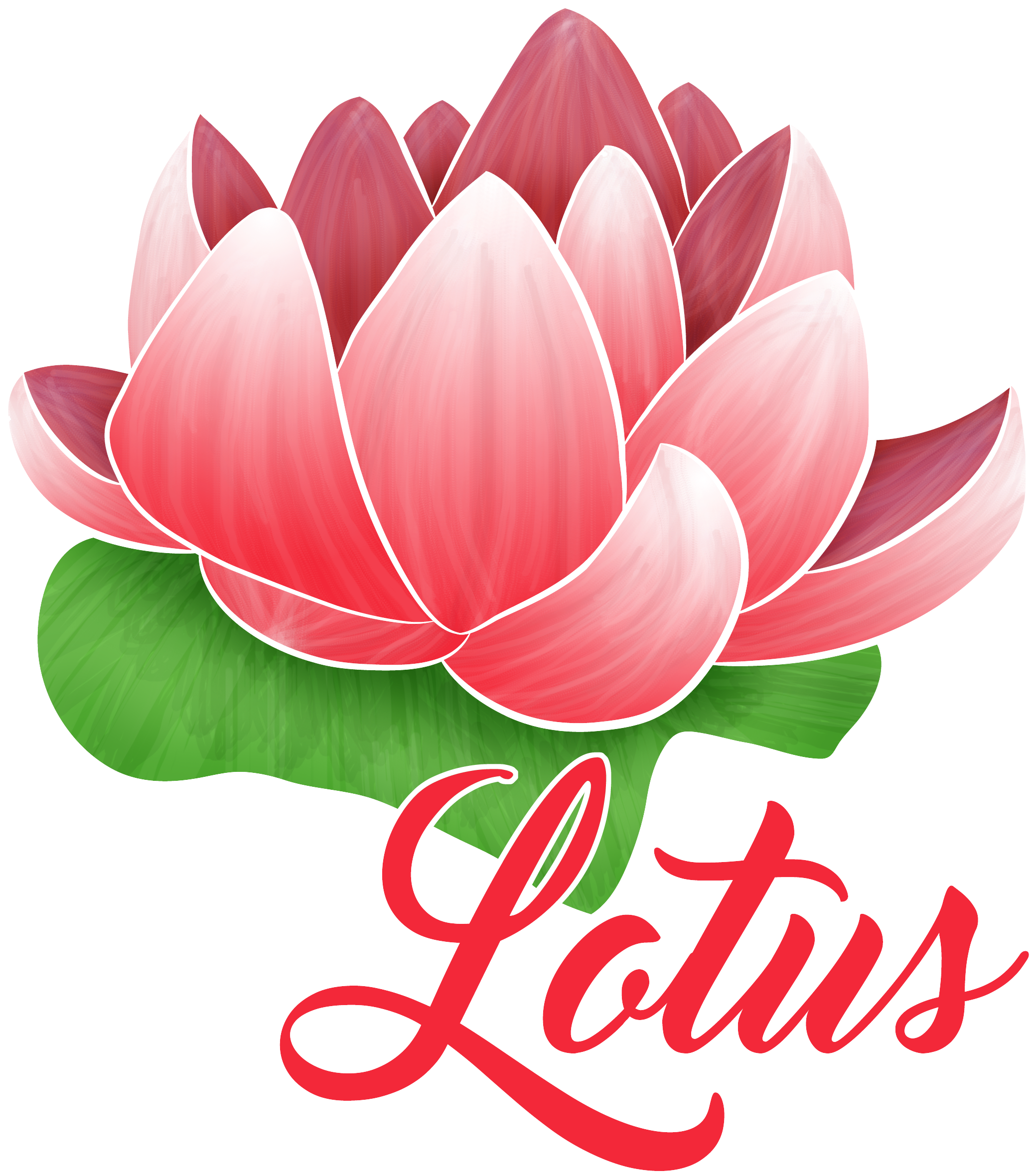 Lotus Logo Red - Ivy Bronx Kirone Isn't Life Lovely Lumbar Pillow (2100x2400)