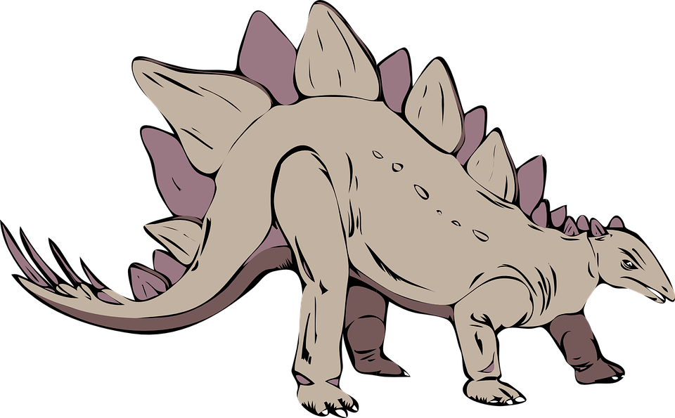 Explore Antigua, Clip Art And More - Custom Grey Stegosaurus Shower Curtain (960x595)