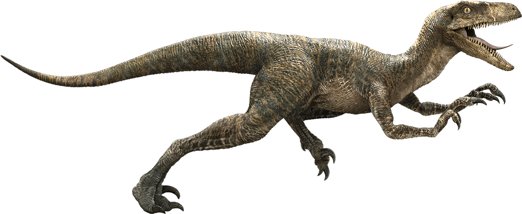 Which Jurassic World Dinosaur Are You - Jurassic Park Velociraptor (1043x463)