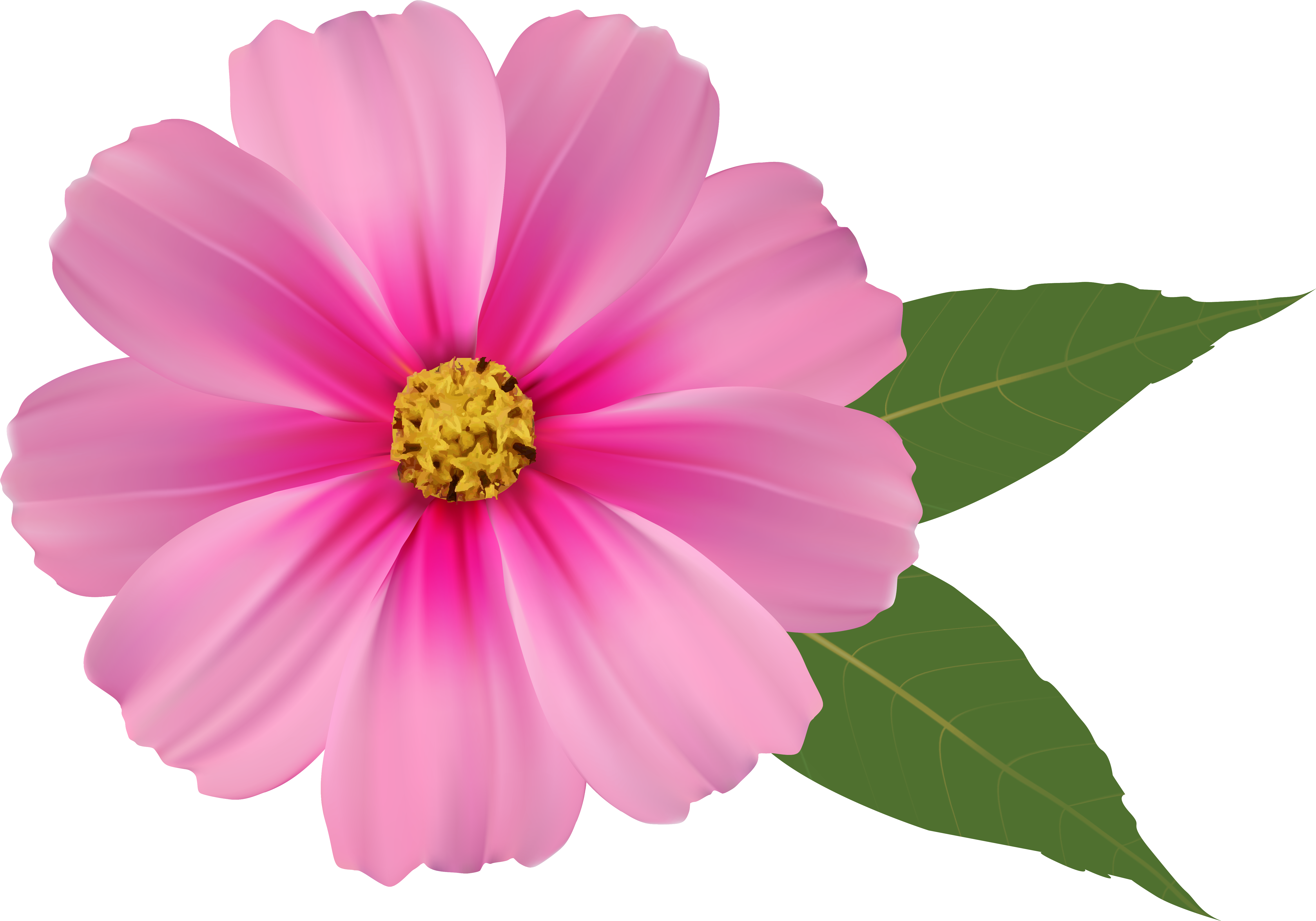 Pink Flower Png Image Clipart - Hd Background Flowers Png (6195x4416)