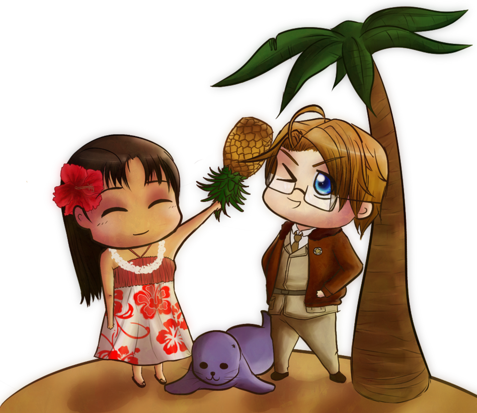 Us Hawaii Oc - Hawaii (960x832)