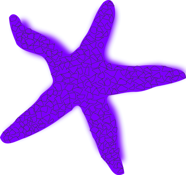Starfish Orange Vector Clip Art Image - Starfish Clip Art (600x563)