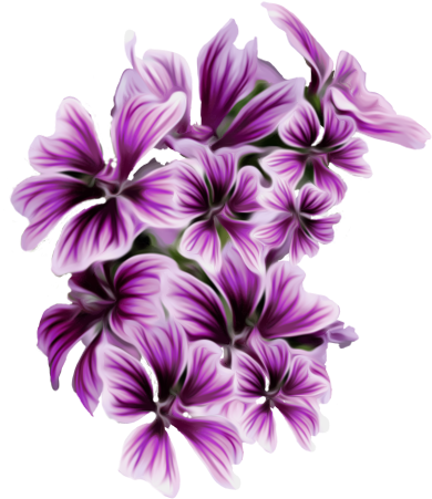 Yahoo Image Search Results - Flower Png (401x474)