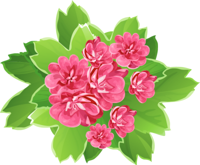 Latest Beautiful Flowers Clipart - Beautiful Flowers Clipart Hd (400x330)