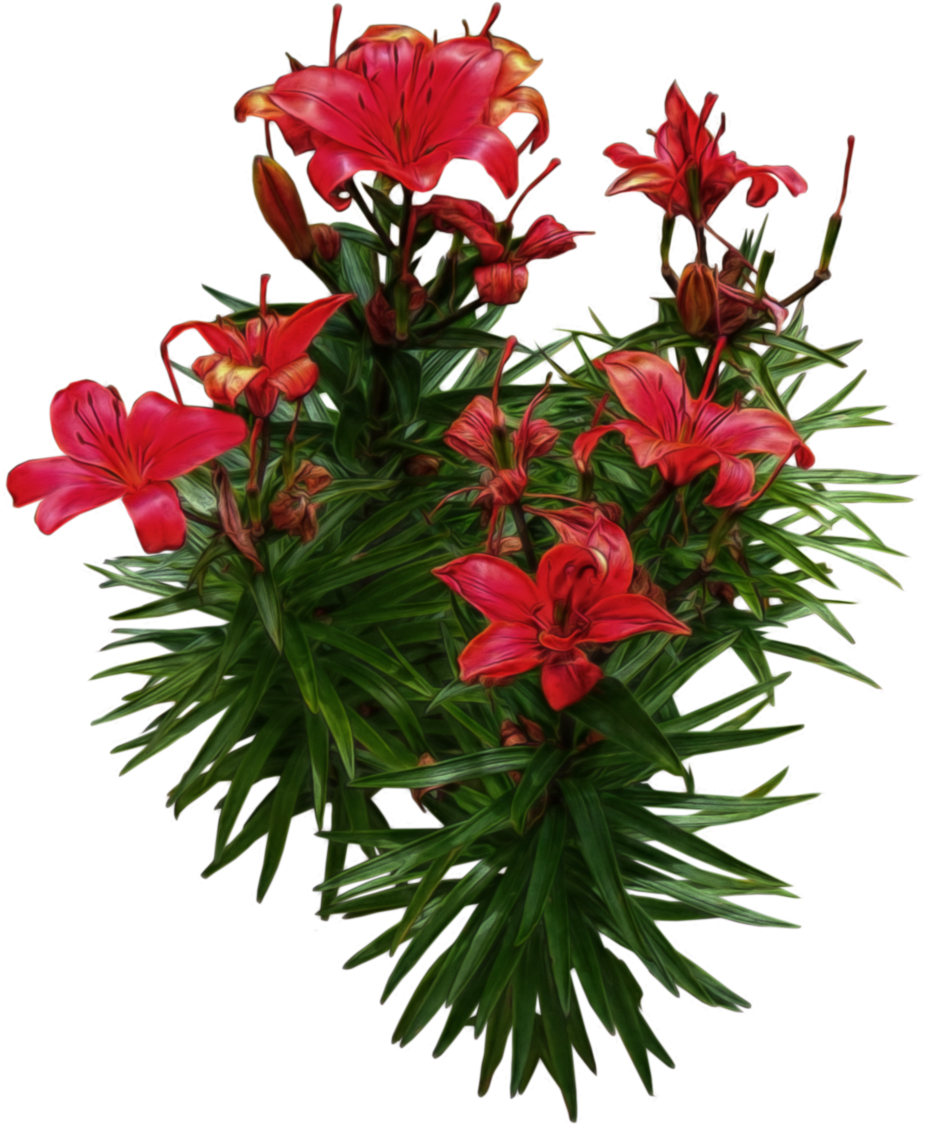 Red Lilies Png - Pail Planters, Set Of 2, Brown, Pots (1024x1255)