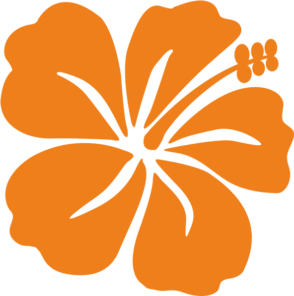Afficher Toutes Les Images - Hawaiian Hibiscus (800x800)