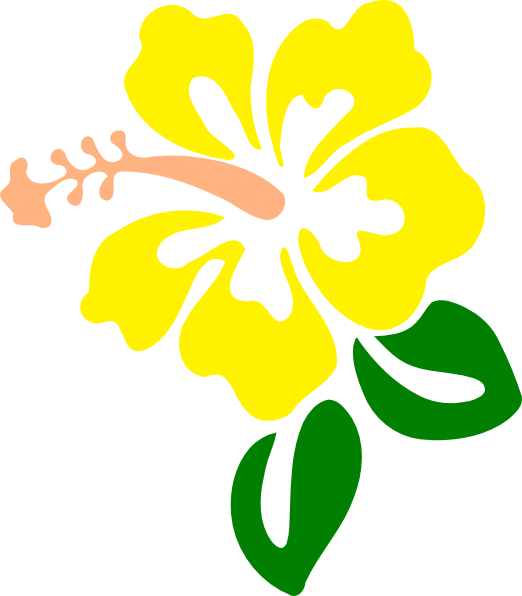 Hibiscus Yellow Clip Art - Hawaiian Flower Transparent Background (522x596)