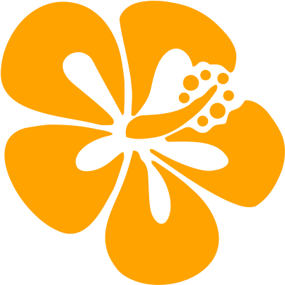Pegatina Hibiscus Flor - Flor Vector (570x600)
