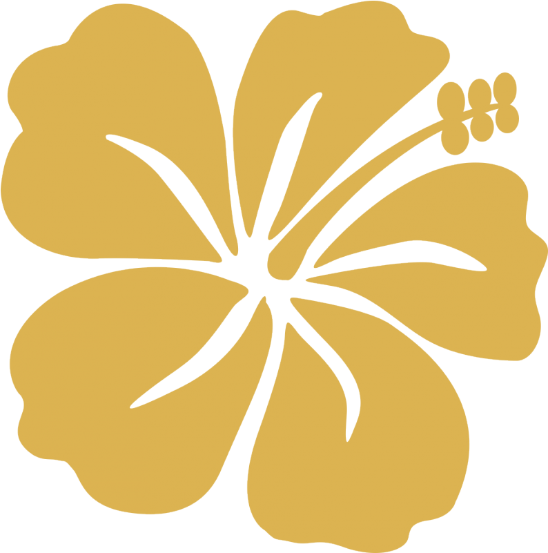 Afficher Toutes Les Images - Illustration (800x800)