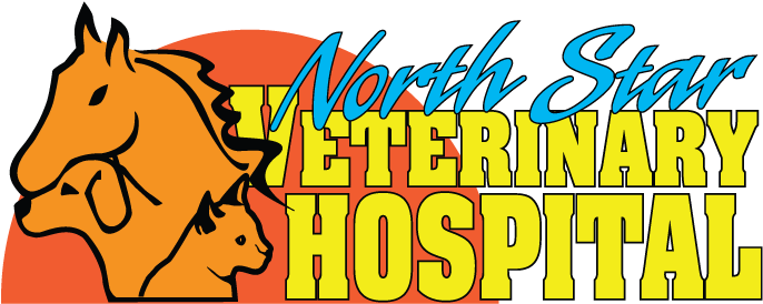 North Star Veterinary Hospital Logo - North Star Veterinary Hospital (700x307)