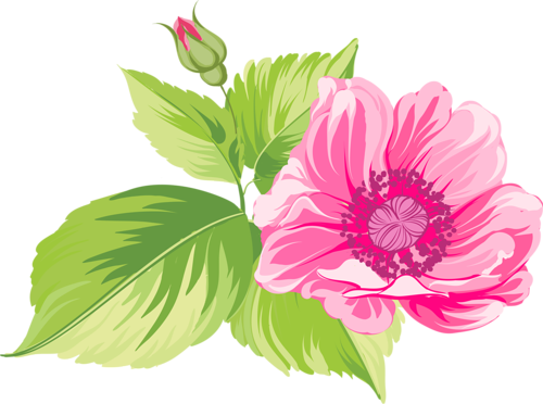 Beautiful Flowers - Pretty Flower Clipart (500x372)