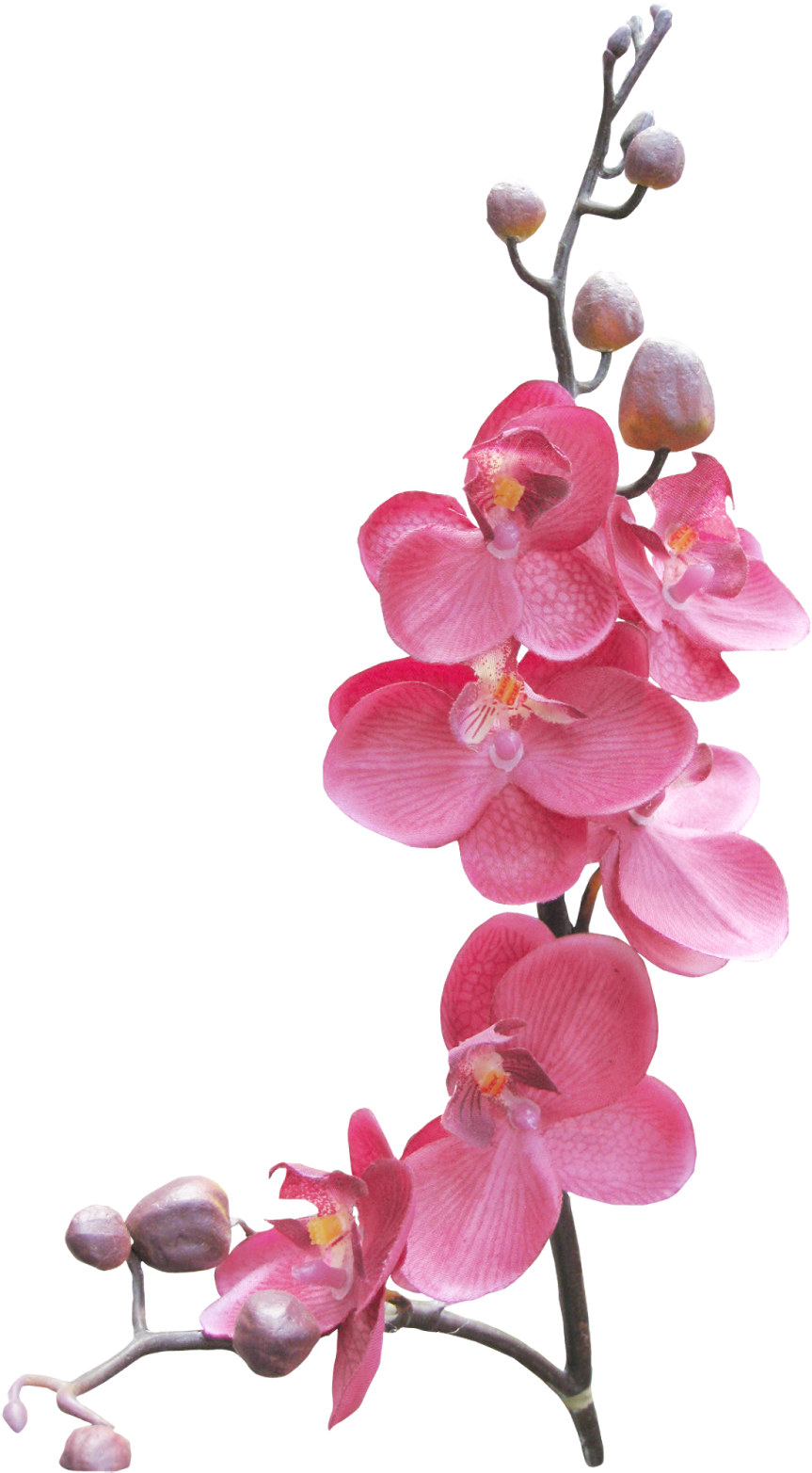 Love Frames For Photoshop (900x1600)