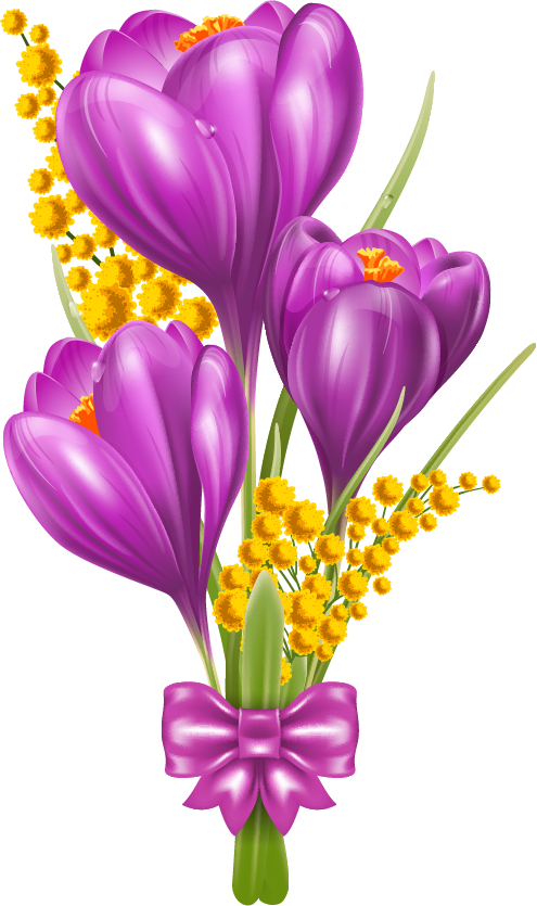 Png Клипарт "beautiful Flowers" - Crocus Clip Art (495x835)