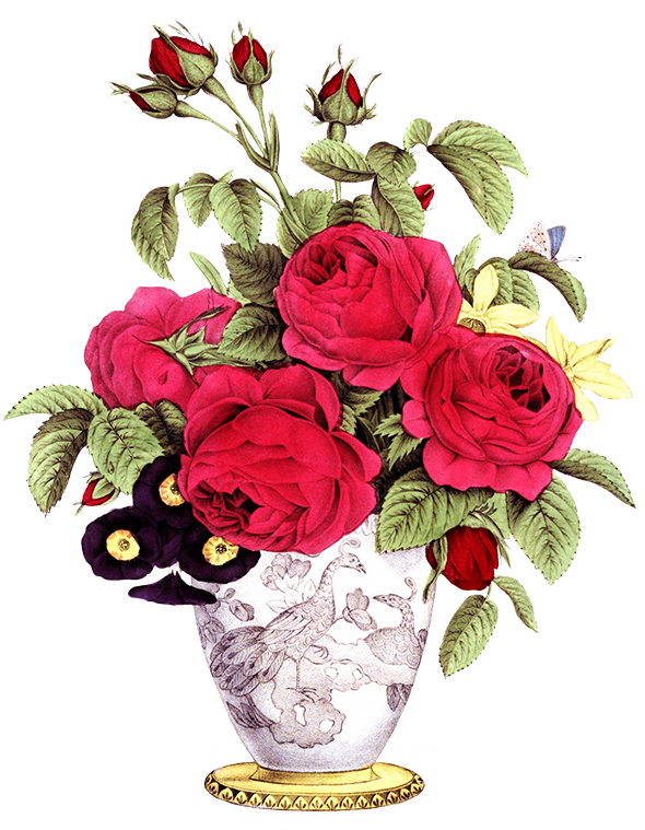 Vase With Rose Flowers - Happy Valentine Day And Shivratri 2018 (631x768)