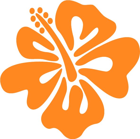 Next - Stickers Fleur D'hibiscus (800x800)