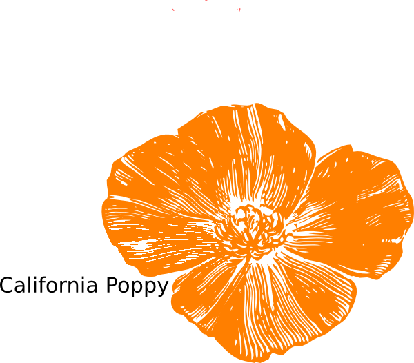 Peach Poppies Clip Art At Clker - Clip Art (600x526)