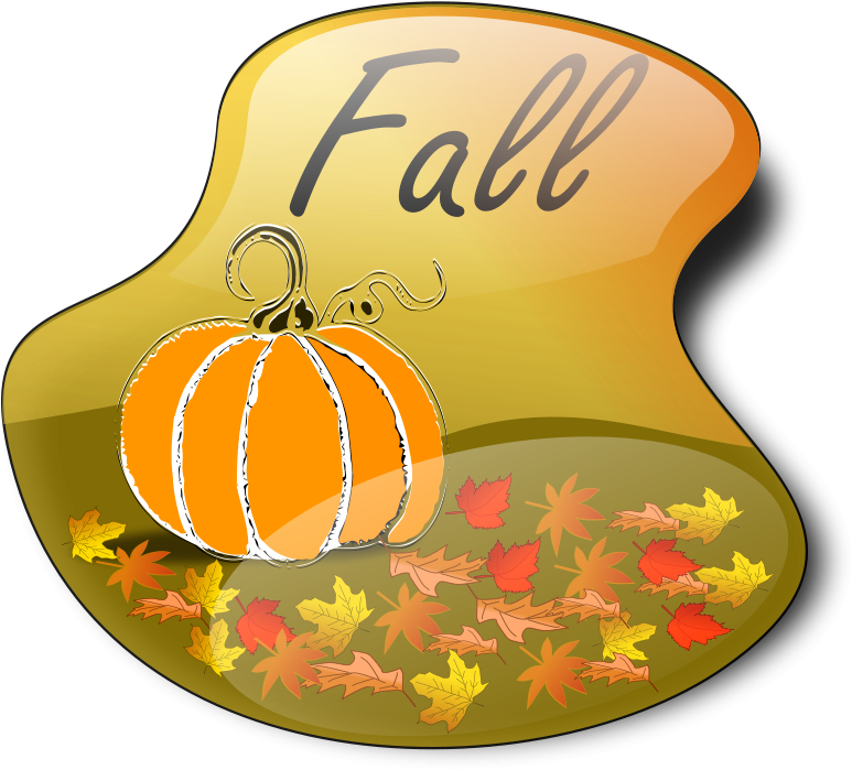 Foliage Pumpkin, Autumn, Fall, Leaves, Foliage - Fall Clip Art (800x732)