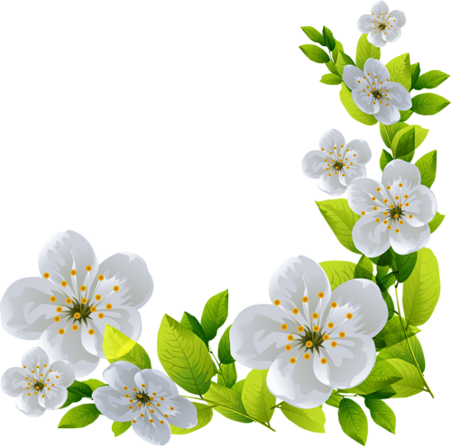 Coins,corners,bordures - Flores Brancas Com Verde (500x496)