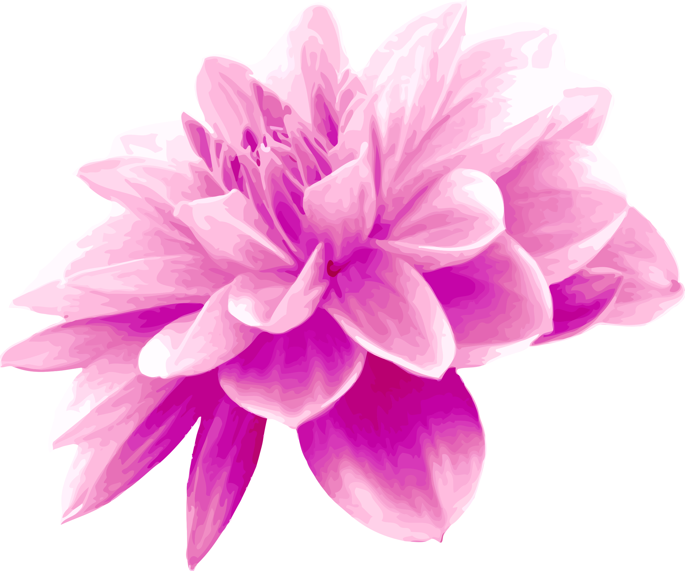 Pink Flower - Pink Colour Flower Png (2400x2000)