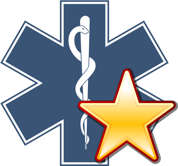 Image-star Of Life With A Gold Star - Star Of Life Sticker (640x600)