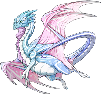 13743816 350 - Blue And Pink Dragon (350x350)