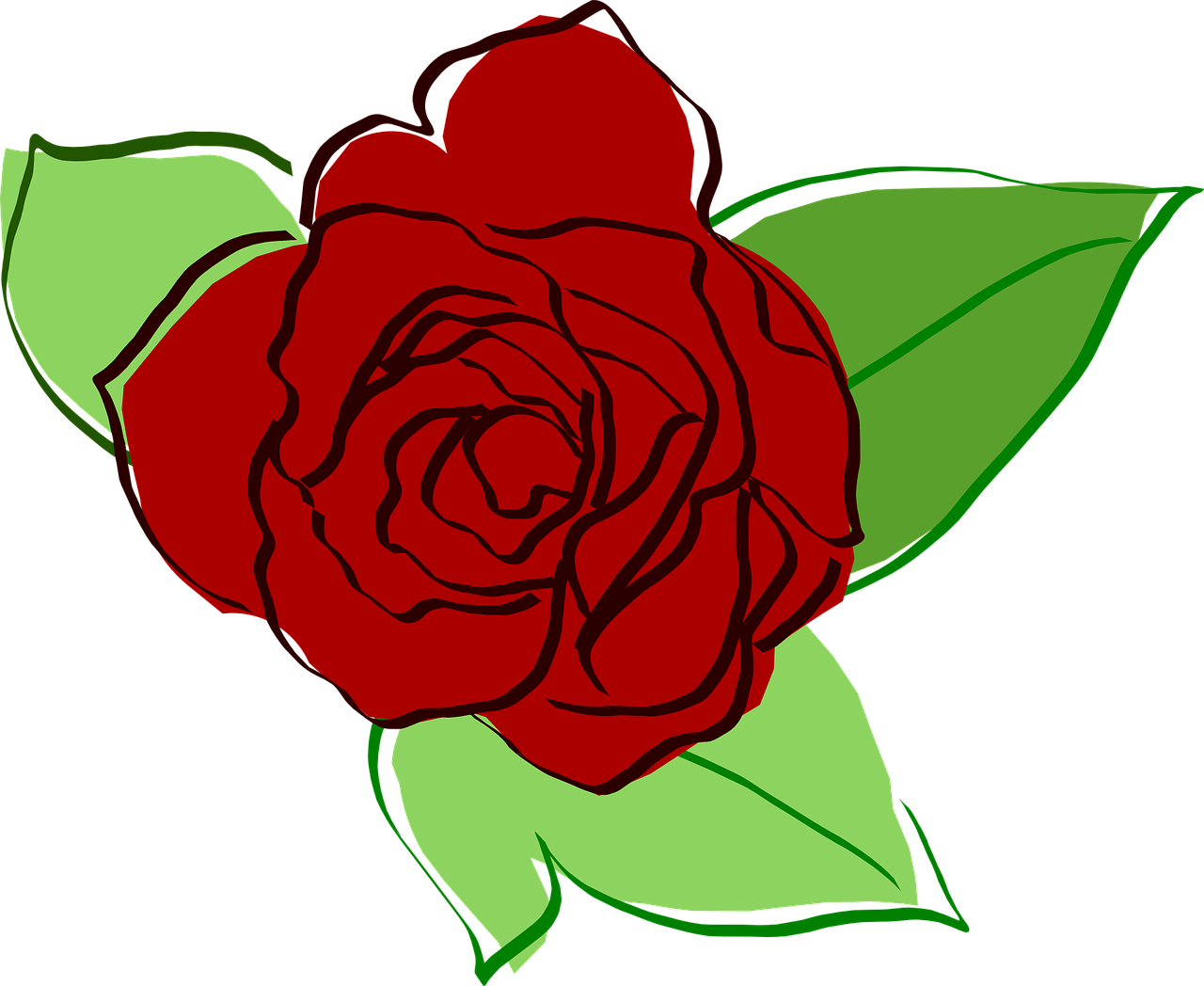 Rose Flowers Drawing - Desenho Rosa Vermelha Png (1280x1048)