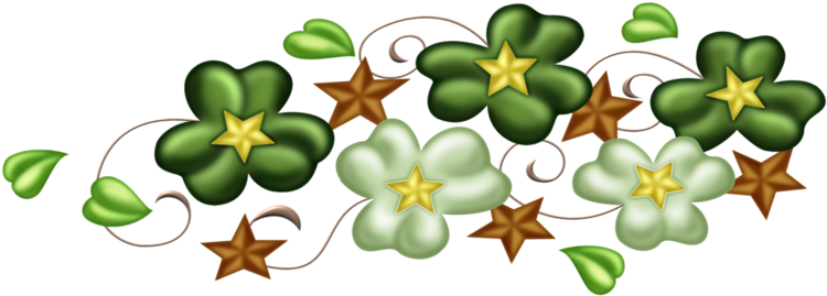 Bracket Cut Flowers Clip Art - Bracket Cut Flowers Clip Art (800x316)