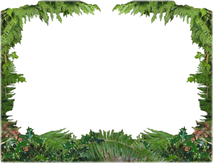 Forest Frame Cliparts - Forest Frame Png (850x650)